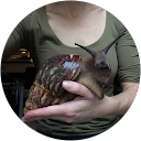 Katya P profile picture