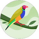 Bohdan Khmara profile picture